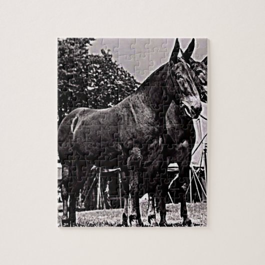 Missouri Mule Legpuzzel (Verticaal)