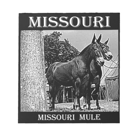 Missouri Mule Notitieblok (Voorkant)