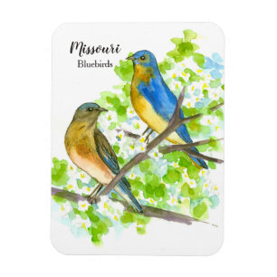 Missouri Souvenir Bluebirds Hawthorn Tree Magneet
