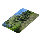 Missouri Weeping Willow op Pond Magneet (Linkerzijde)