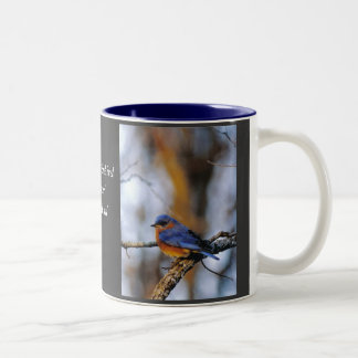 Missouris Eastern Bluebird. Tweekleurige Koffiemok