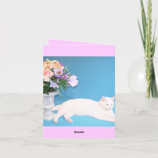 Missy Carte pour notes (Dos)