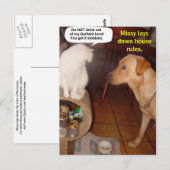 Missy legt huisregels vast. briefkaart (Voorkant / Achterkant)