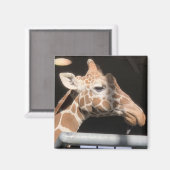 Missy Magnet #1 Magneet (Voorkant / Achterkant)