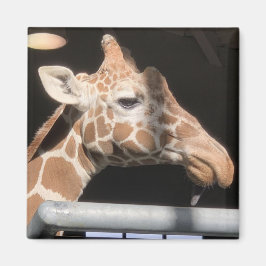 Missy Magnet #1 Magneet