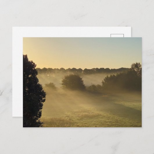 Mist Briefkaart (Voorkant / Achterkant)