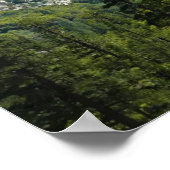 Mist Herfst Trail, King's Canyon National Park, CA Poster (Hoek)