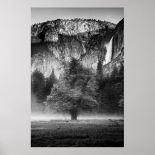 Mist in de Meadow Poster