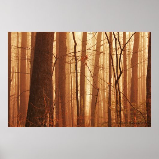 Mist in het bos Poster (Voorkant)