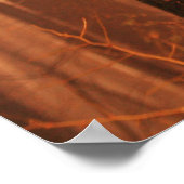 Mist in het bos Poster (Hoek)