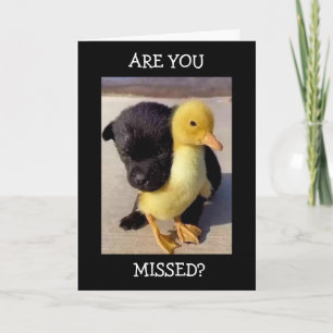 MIST JE ELK MINUUT, UUR EN DAG! KAART