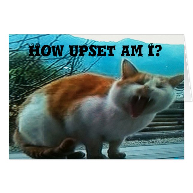 **MIST JE** ZO VEEL bij **CHRISTMAS** (Voorkant Horizontaal)