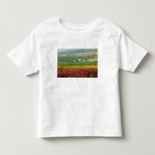 Mist kruipt over de Gehring Brothers Winery Kinder Shirts