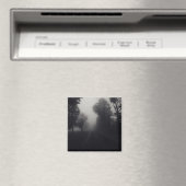 mist land magneet (Insitu (Vaatwasser))