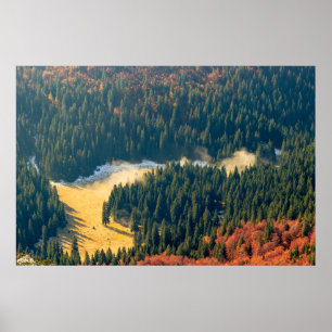 Mist op een eenzaam herfstveld poster