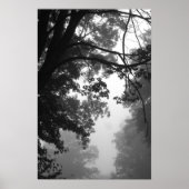 mist poster (Voorkant)