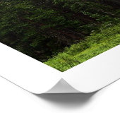 mist poster (Hoek)