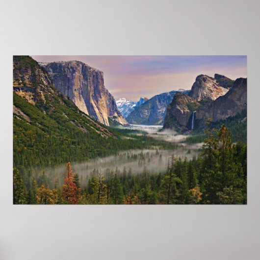 Mist Poster (Voorkant)