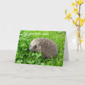 "Mist u me? " Kaart (Gele Bloem)