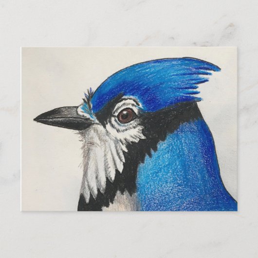 Mister Blue Jay Bluejay Bird Waterverf Briefkaart (Voorkant)