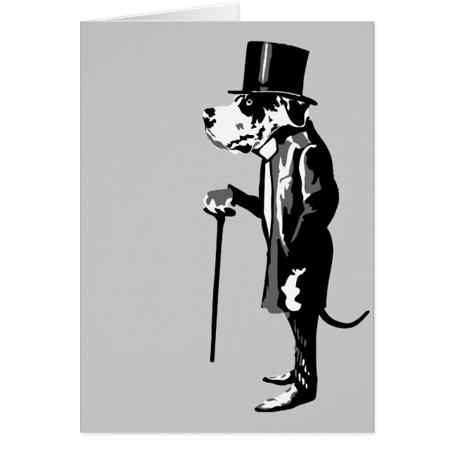 Mister Dane (Voorkant)