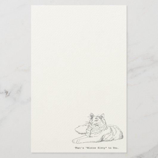 Mister Kitty Cat Stationery Briefpapier (Voorkant)