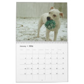 Mister Nelson Buckles : De Amerikaanse hond Kalender (Jan 2026)