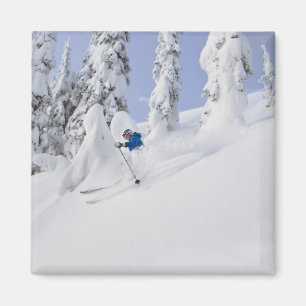 Mistie Fortin skiet poedersneeuw Magneet