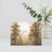 Mistige BosSepia - Briefkaart (Staand voorkant)