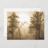 Mistige BosSepia - Briefkaart (Voorkant / Achterkant)
