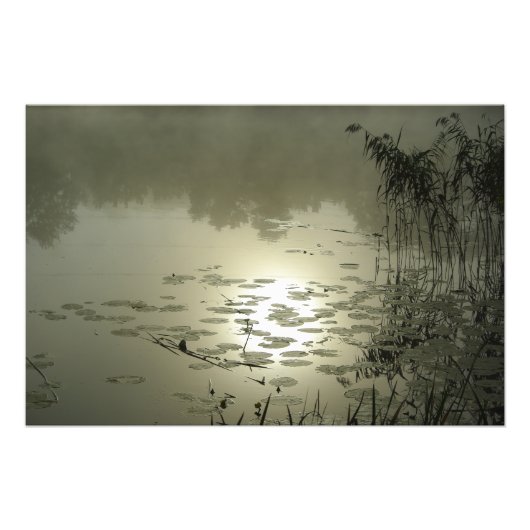 Mistige dag boven het meer foto afdruk (Voorkant)
