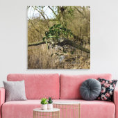 Mistletoe Canvas Afdruk (Insitu (Woonkamer))