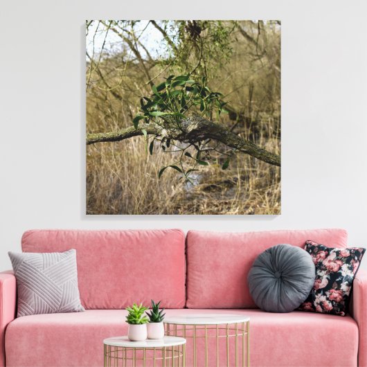 Mistletoe Canvas Afdruk (Insitu (Woonkamer))