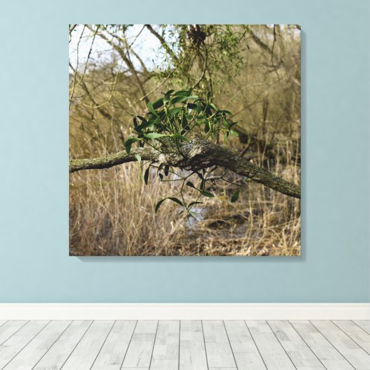 Mistletoe Canvas Afdruk (Insitu (Houten vloer))