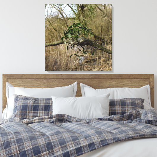 Mistletoe Canvas Afdruk (Insitu (Slaapkamer))
