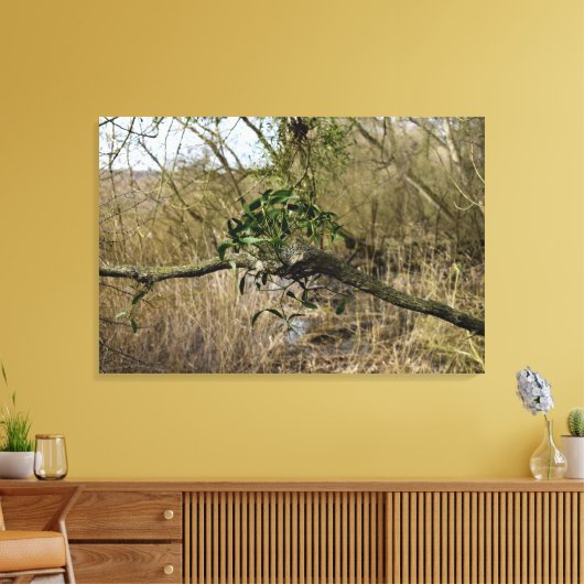 Mistletoe Canvas Afdruk (Insitu (Woonkamer))
