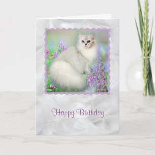 Mistletoe de zilveren Perzische kat Verjaardag Kaa Kaart