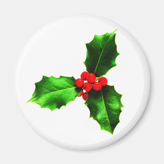 Mistletoe Magneet (Voorkant)