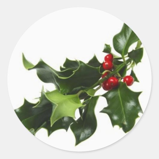 Mistletoe Ronde Sticker (Voorkant)