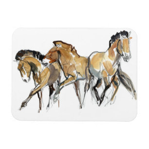 Mistral Drie Magneet