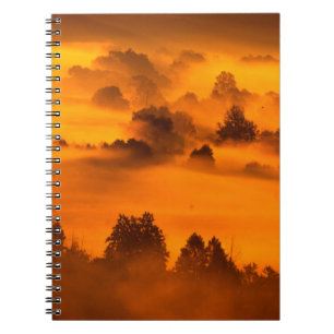 Mistvogel over de rivier overstroomt het water, in notitieboek