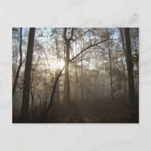 Misty Autumn Morning in het bos #1 Briefkaart