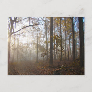 Misty Autumn Morning in het bos #2 Briefkaart