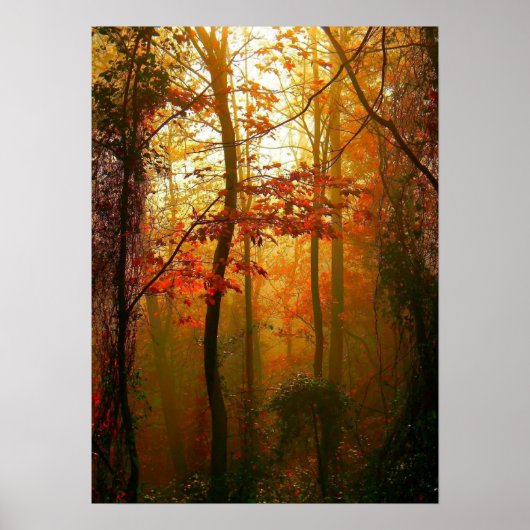 Misty Autumn Morning Poster (Voorkant)