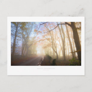 Misty Cotswolds Briefkaart