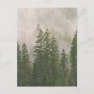 Misty Foggy Forest Bomen Briefkaart