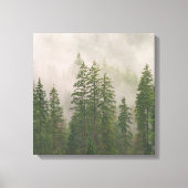 Misty Foggy Forest Bomen Canvas Afdruk (Voorkant)
