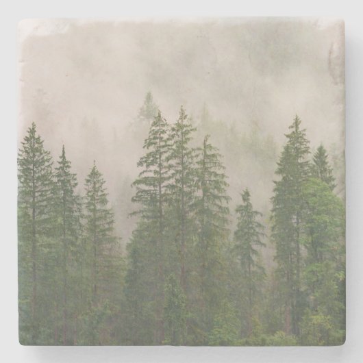 Misty Foggy Forest Bomen Stenen Onderzetter (Voorkant)