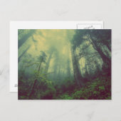 Misty Forest Briefkaart (Voorkant / Achterkant)