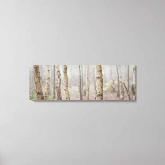 MISTY FOREST CANVAS AFDRUK (Voorkant)